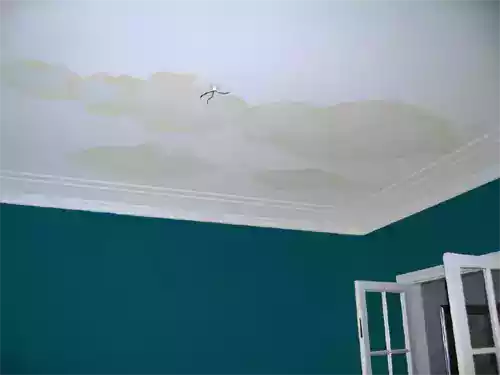 Roof Leaking