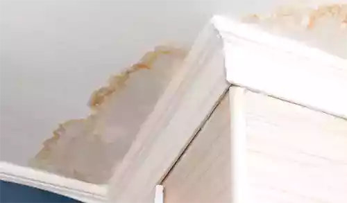 Roof Leaking